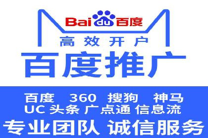 SEM代理案例：揭秘成功背后的秘密